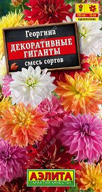 Георгина Декоративные гиганты, смесь сортов