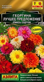 Георгина Лучшее предложение, смесь сортов