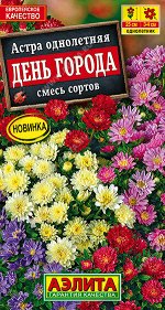 Астра День города, смесь окрасок