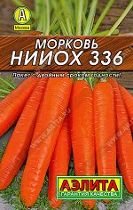 Морковь НИИОХ 336