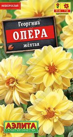 Георгина Опера желтая