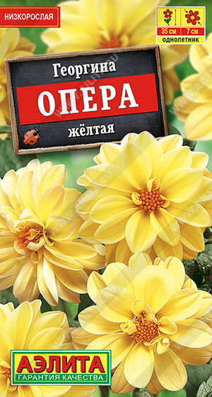 Георгина Опера желтая