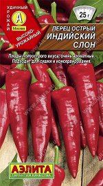 Перец острый Индийский слон