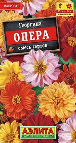 Георгина Опера, смесь сортов