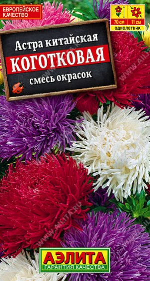 Астра Коготковая, смесь окрасок