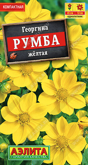 Георгина Румба желтая