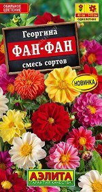 Георгина Фан-фан, смесь сортов