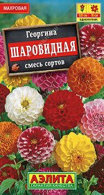 Георгина Шаровидная, смесь сортов