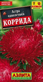 Астра Коррида коготковая