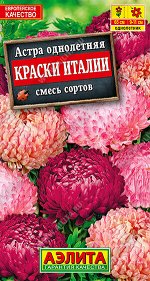 Астра Краски Италии, смесь сортов