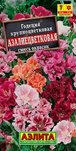 Годеция азалиецветковая махровая, смесь сортов
