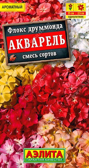 Флокс Акварель, смесь сортов