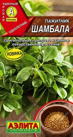 Пажитник Шамбала
