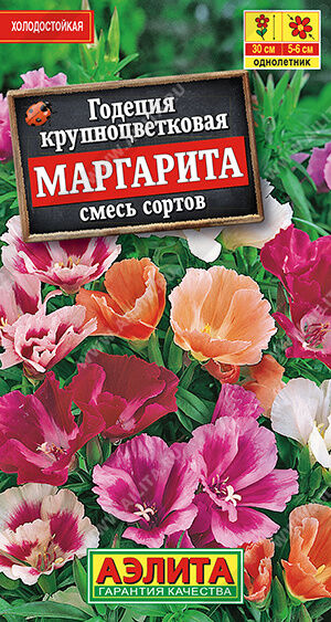 Годеция Маргарита, смесь сортов