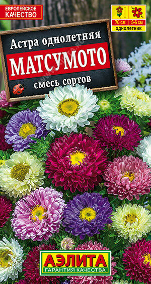 Астра Матсумото, смесь окрасок