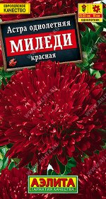 Астра Миледи красная