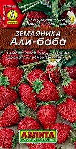 Земляника Али-Баба