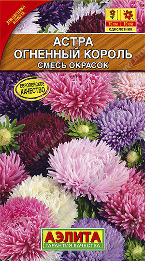 Астра Огненный король, смесь окрасок