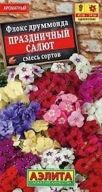 Флокс Праздничный салют, смесь окрасок