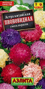 Астра Пионовидная, смесь окрасок