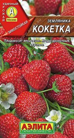 Земляника ремонтантная крупноплодная Кокетка