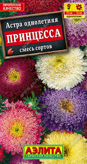 Астра Принцесса, смесь окрасок