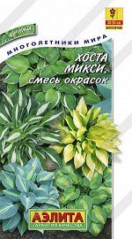 Хоста Микси, смесь окрасок