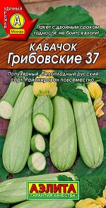 Кабачок белоплодный Грибовские 37