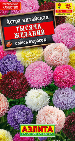 Астра Тысяча желаний, смесь окрасок