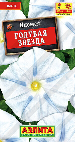 И п о м е я Голубая звезда