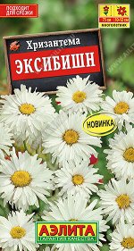 Хризантема Эксибишн