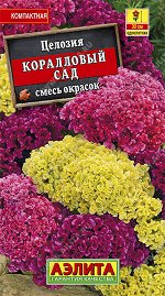 Целозия гребенчатая Коралловый сад, смесь окрасок