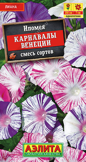 И п о м е я Карнавалы Венеции, смесь сортов