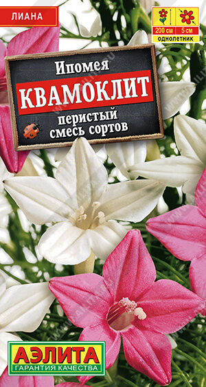 И п о м е я  Квамоклит, смесь сортов