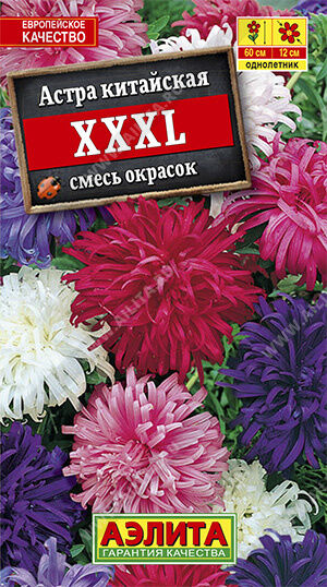 Астра ХХХL, смесь окрасок