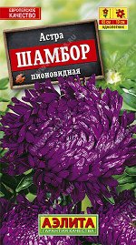 Астра Шамбор пионовидная