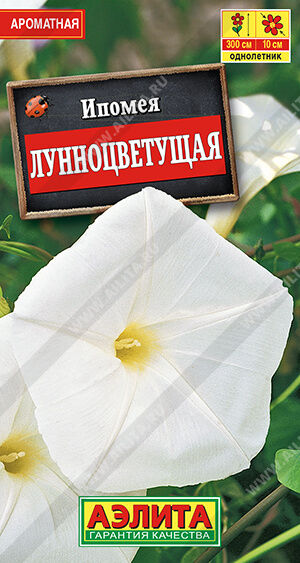 И п о м е я  Лунноцветущая