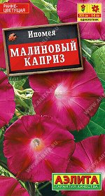 Ипомея Малиновый каприз