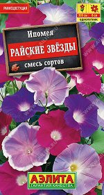 И п о м е я  Райские звезды, смесь сортов