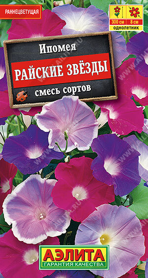 И п о м е я  Райские звезды, смесь сортов