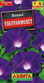 Ипомея Ультрафиолет