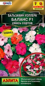 Бальзамин Баланс F1, смесь сортов