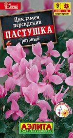 Цикламен персидский Пастушка розовый