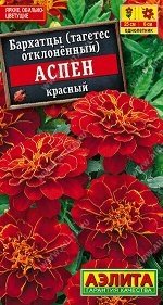 Бархатцы Аспен красный