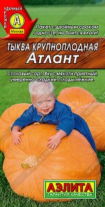 Тыква крупноплодная Атлант