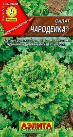 Салат Чародейка  ®