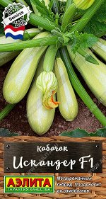 Кабачок цуккини Искандер F1