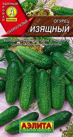 Огурец Изящный