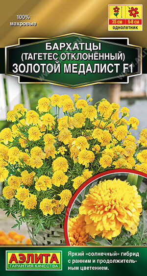 Бархатцы Золотой медалист F1