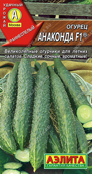 Огурец китайский Анаконда F1 ®